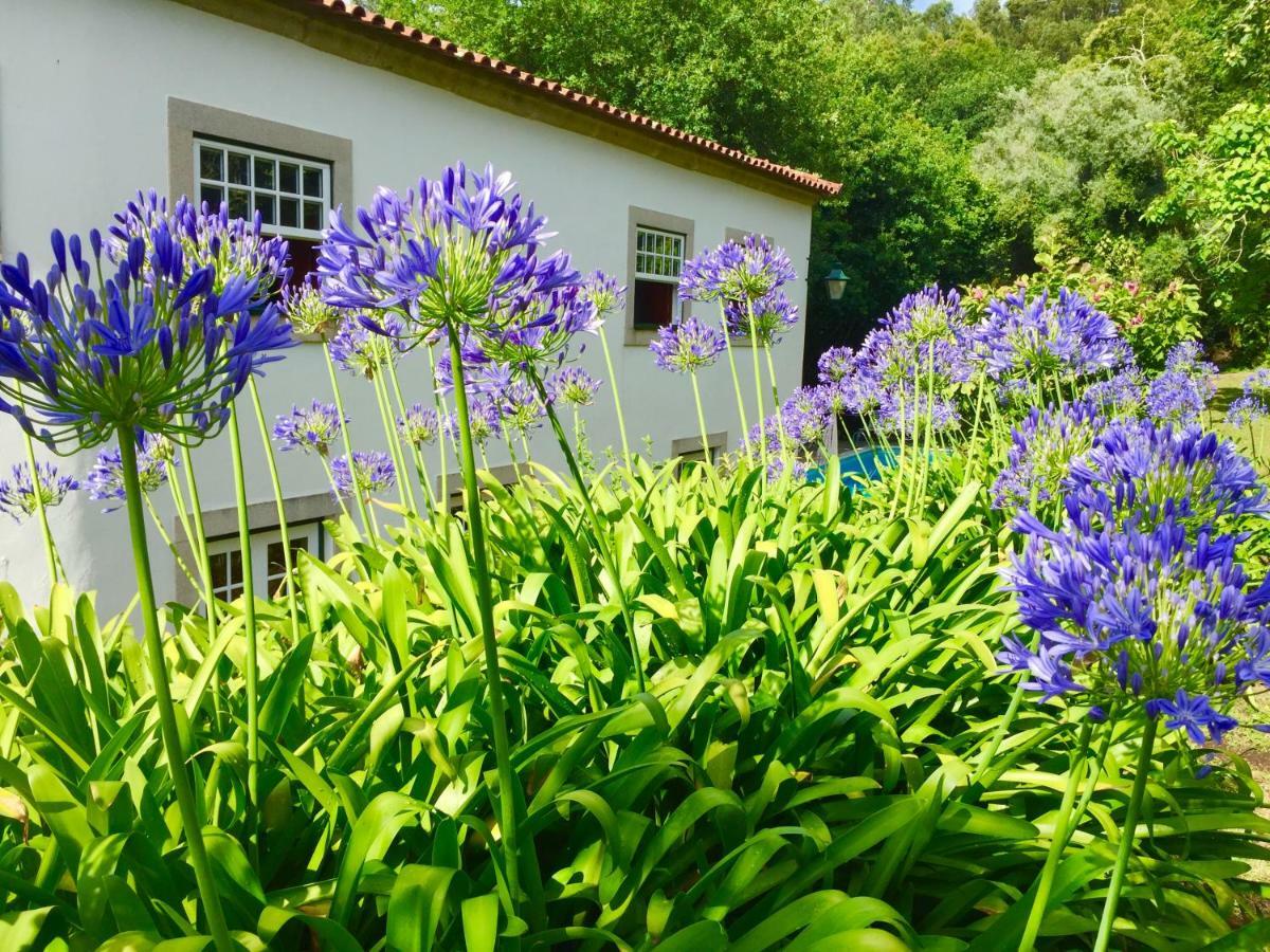 Quinta Santo Antonio Da Pedreira Guest House Facha Exterior photo